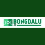 Bongdalu resistancerecess
