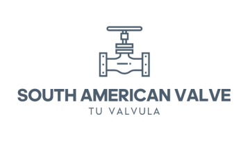 Tilting Disc Check Valve supplier in Mexico