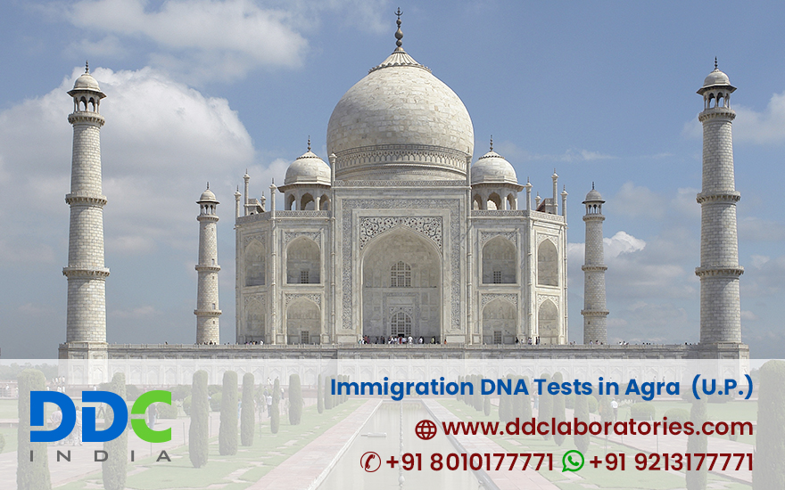 Immigration DNA Tests in Agra Uttar Pradesh - Affordable DNA Tests
