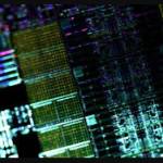Intilop Corporation