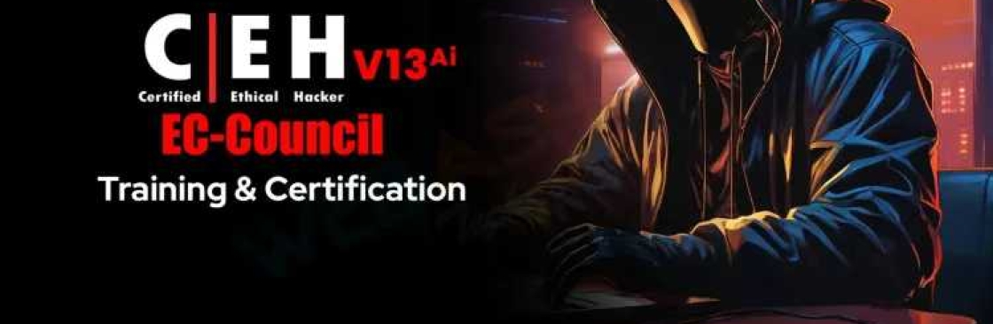 WebAsha Technologies Cover Image